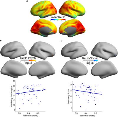 Well-Being Is Associated With Local to Remote Cortical Connectivity